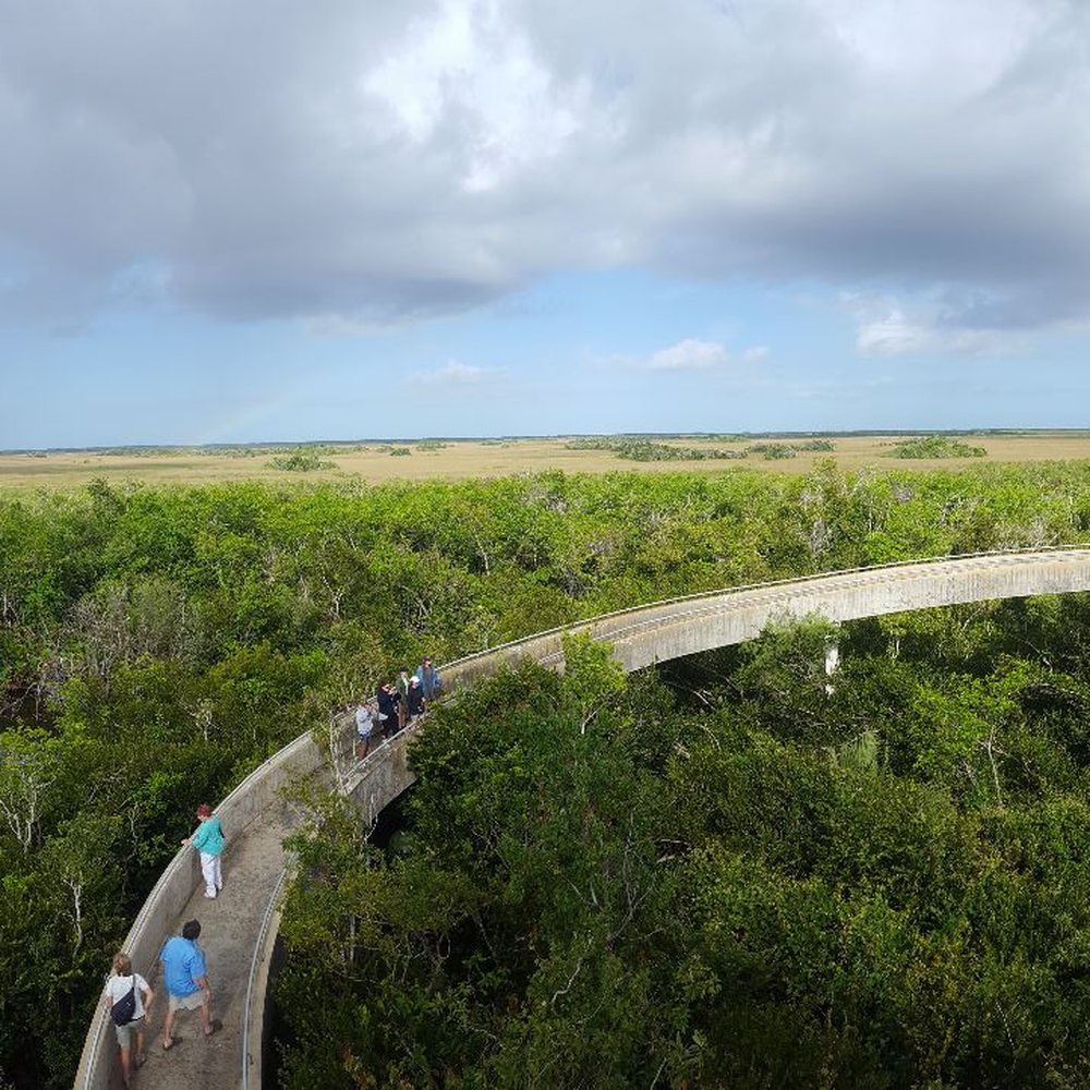 Shark Valley Tram Tours - Tours Near Me - Miami, Florida