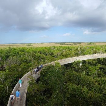 Shark Valley Tram Tours - Tours Near Me - Miami, Florida Shark Valley Tram Tours - Tours Near Me - Miami, Florida