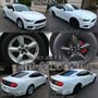Photo of Team Detailing and Customs