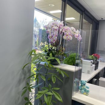 Cheryl M. Lee, DDS, MS - Pediatric Dentists Near Me - Sunnyvale, California Cheryl M. Lee, DDS, MS - Pediatric Dentists Near Me - Sunnyvale, California