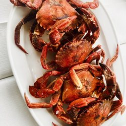 Las Olas - Crabs are always nice.
