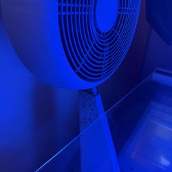 South Beach Tanning Company - Beds are disgusting and rusting bc they are no longer caring for them