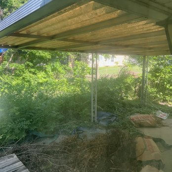 CR TREE SERVICE - Before - Tree Services Near Me - Independence, Missouri CR TREE SERVICE - Before - Tree Services Near Me - Independence, Missouri