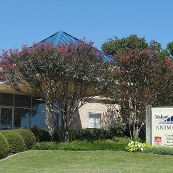 Walnut Creek Animal Clinic - View from Walnut Creek Dr. - Veterinarians Near Me - Mansfield, Texas Walnut Creek Animal Clinic - View from Walnut Creek Dr. - Veterinarians Near Me - Mansfield, Texas