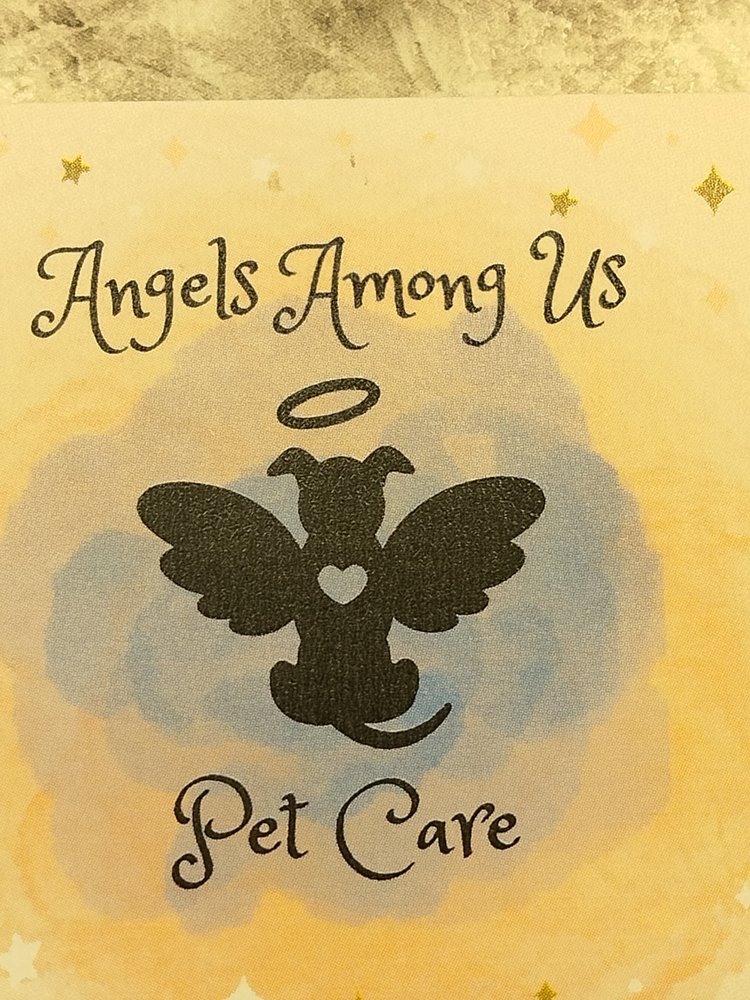 Angels Among Us - pet boarding facility in Tucson, AZ