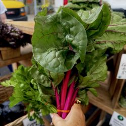 North Union Farmers Market- Shaker Square