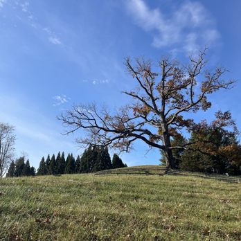 Boar's Head Hotel - Lovely trails - Hotels Near Me - Charlottesville, Virginia Boar's Head Hotel - Lovely trails - Hotels Near Me - Charlottesville, Virginia
