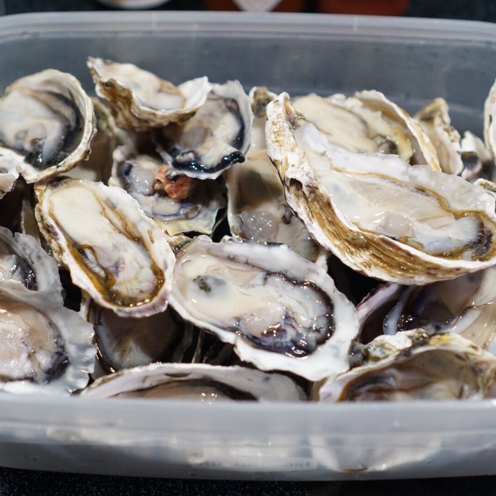Richard's Meat Market - Half shell oysters from Richards meat *8/8/19 - Meat Shops Near Me - Honolulu, Hawaii Richard's Meat Market - Half shell oysters from Richards meat *8/8/19 - Meat Shops Near Me - Honolulu, Hawaii