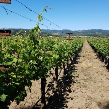 Heitz Cellar - Wineries Near Me - St. Helena, California Heitz Cellar - Wineries Near Me - St. Helena, California