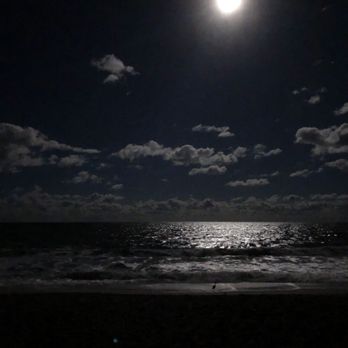 Disney's Vero Beach Resort - Hotels Near Me - Vero Beach, Florida