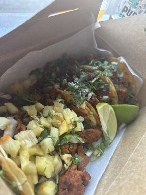 La Tingeria Alexandria by null