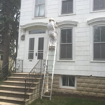 Best Pest Control - Pest Control Near Me - Palatine, Illinois Best Pest Control - Pest Control Near Me - Palatine, Illinois