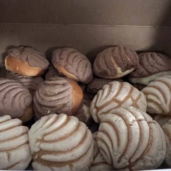 Bakeria - Conchas are DELICIOUS!! - Bakeries Near Me - Mira Loma, California