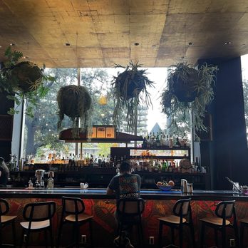 The Lymbar - Cocktail Bars Near Me - Houston, Texas The Lymbar - Cocktail Bars Near Me - Houston, Texas