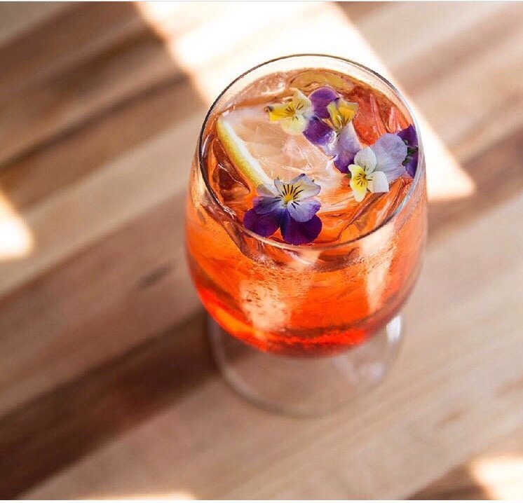 Trapeze - wedding in Minneapolis, MN