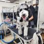 Photo of J's Furrr Babies Dog and Cat Grooming