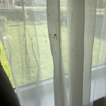 Blackwell Property Management - Disgusting. - Property Management Near Me - Charles Town, West Virginia Blackwell Property Management - Disgusting. - Property Management Near Me - Charles Town, West Virginia
