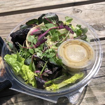 Roze Pony - Salad Vert (took mine to go and ate it in Elmington Park) - New American Near Me - Nashville, Tennessee Roze Pony - Salad Vert (took mine to go and ate it in Elmington Park) - New American Near Me - Nashville, Tennessee