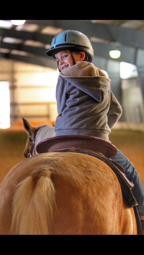 Cornerstone Equestrian - equestrian in Hillsborough Township, NJ