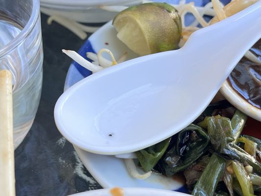 The Spice Jar by null