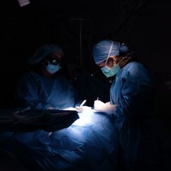 Karen Zaghiyan, MD FACS FASCRS