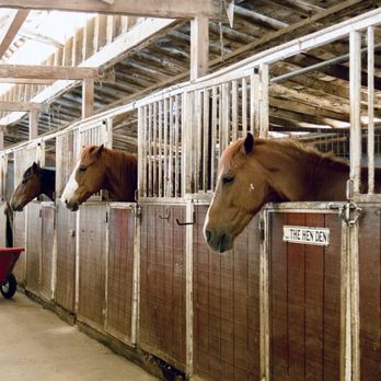 LA Horse Rentals - Stable - Horseback Riding Near Me - Glendale, California