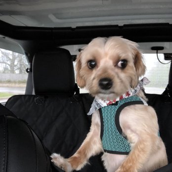 Pup N Suds - Pet Groomers Near Me - Oak Forest, Illinois