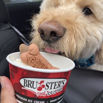 Bruster's Real Ice Cream - He's about to gulp down that ice cream - Ice Cream & Frozen Yogurt Near Me - Gaithersburg, Maryland Bruster's Real Ice Cream - He's about to gulp down that ice cream - Ice Cream & Frozen Yogurt Near Me - Gaithersburg, Maryland