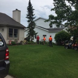 Fred and his crew taking my 30 year old pine tree down!