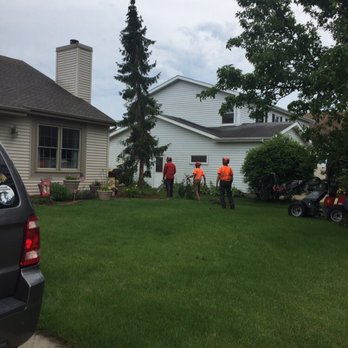 FJR Tree - Fred and his crew taking my 30 year old pine tree down! - Tree Services Near Me