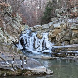 Scott's Run Nature Preserve - Instagram: @telephonesmoothie