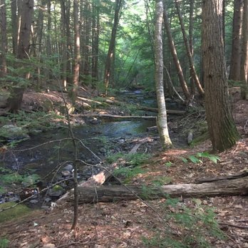 Mill Brook Preserve - Hiking Near Me - Westbrook, Maine