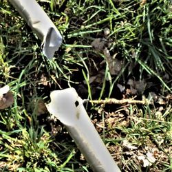 Beaver Tree Service - Broken pipe showing deep hole created by fallen tree