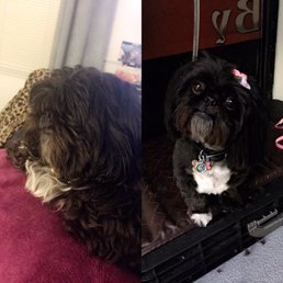 Marley Before and After