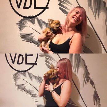 Van Den Engh - Den lille salon hund Minnie, som elsker at sidde på skødet hos kunderne hvis man har lyst. - Hair Salons Near Me - Copenhagen, 84 Van Den Engh - Den lille salon hund Minnie, som elsker at sidde på skødet hos kunderne hvis man har lyst. - Hair Salons Near Me - Copenhagen, 84