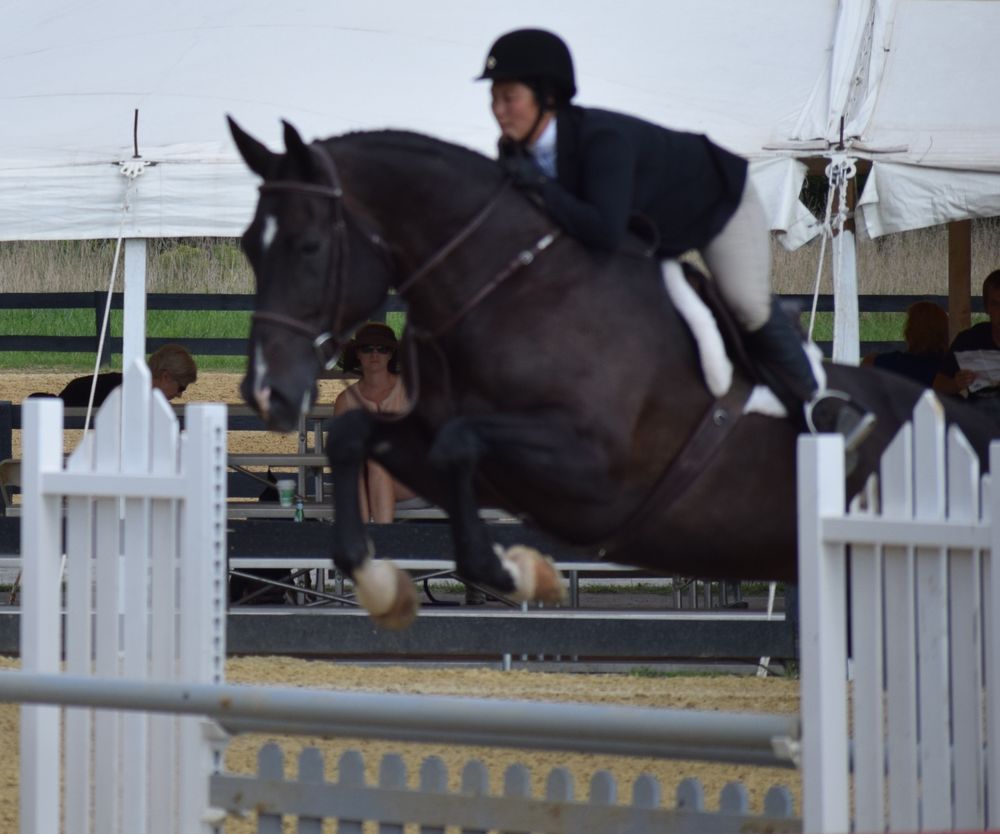 BLACK HORSE STABLES Updated May 2024 426 Pineville Rd, Newtown