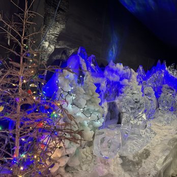 Fairbanks Ice Museum - Iced sled dogs - Museums Near Me - Fairbanks, Alaska