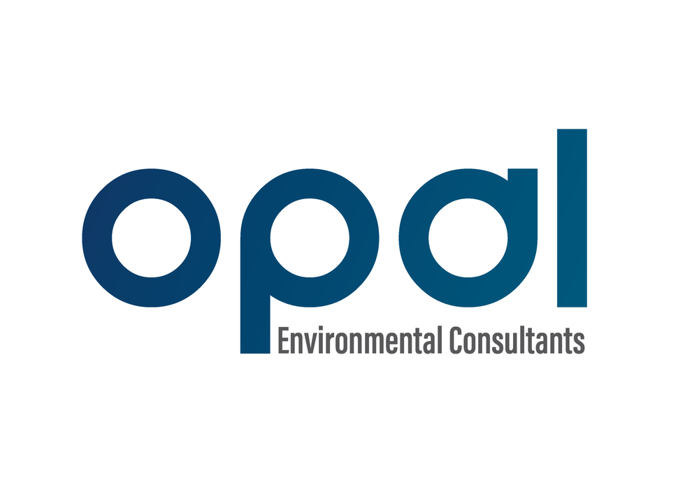 Opal Environmental Consultants - mold inspector in Houston, TX