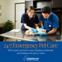 MissionVet Specialty & Emergency