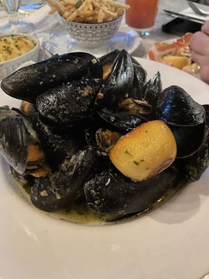 Lucille's Oyster Dive by null
