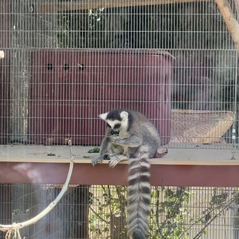 Wildlife Learning Center - Zoos Near Me - Sylmar, California