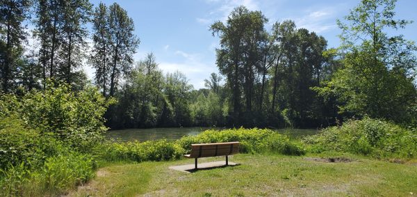 Tolt-MacDonald Park & Campground by null