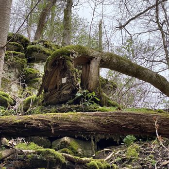 Asbury Trails - Hiking Near Me - Wilmore, Kentucky