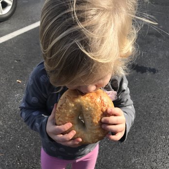 Bite a Bagel - Bagels Near Me - St. Augustine, Florida Bite a Bagel - Bagels Near Me - St. Augustine, Florida