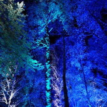 Enchanted Forest - Arts & Entertainment Near Me