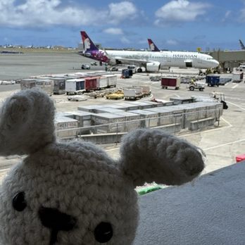 Hawaiian Airlines - Airlines Near Me - Honolulu, Hawaii Hawaiian Airlines - Airlines Near Me - Honolulu, Hawaii