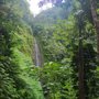 Photo of Hiking Honolulu