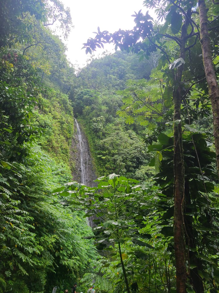 Hiking Honolulu Logo