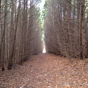Cold Creek Conservation Area - Parks Near Me - Schomberg, Ontario