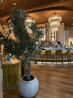 MIKA Coral Gables by null